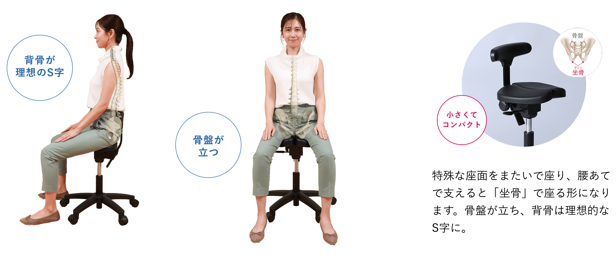 姿勢の矯正に
