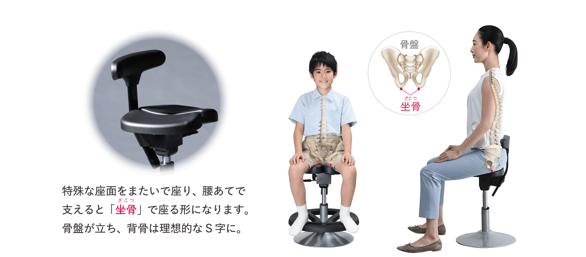 丸ベースタイプ ルナ｜腰痛対策・姿勢改善椅子、学習椅子（イス