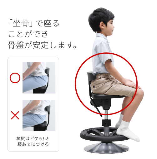 アーユルチェアー ルナ 別売体圧分散マット付き ayur-chair 丸ベース 丸ベースタイプ ルナ｜腰痛対策・姿勢改善椅子、学習椅子（イス